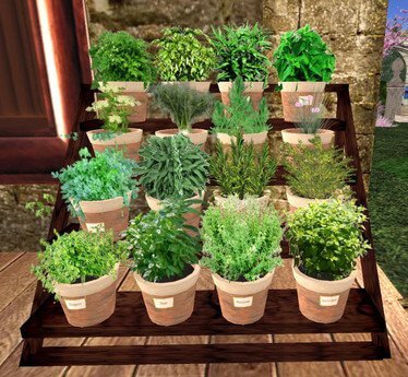 Herbs In The Kitchen - How To Use Aromatic Herbs