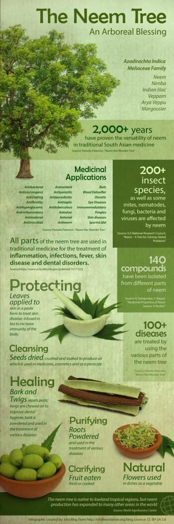 The Benefits of Neem A “Wonder Leaf”